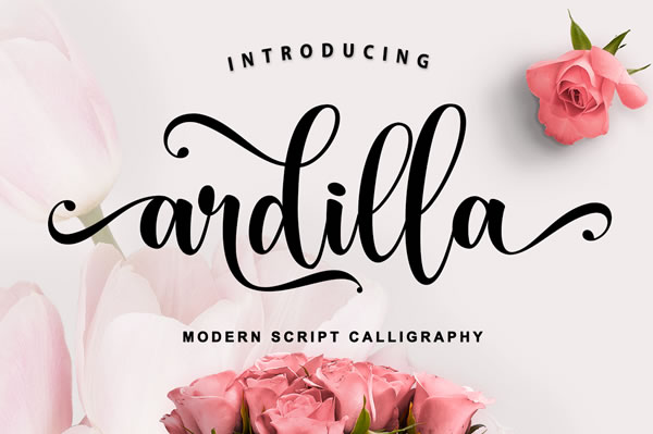 Ardilla Font: A Script Typeface for Branding