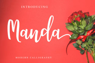 Manda Script: A Modern Typeface for Campaigns