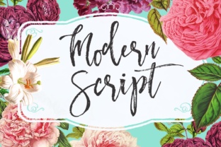 Modern Script Typeface for Editorial Design