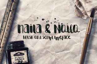 Naila Script: A Designer’s Honest Review