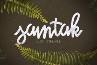 Samtak Script: A Bold Display Font for Web Design