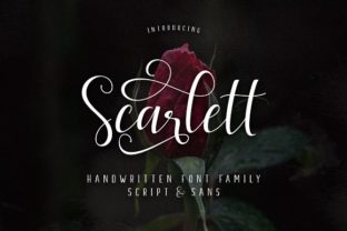 Scarlett Typeface: A Calm Editorial Story