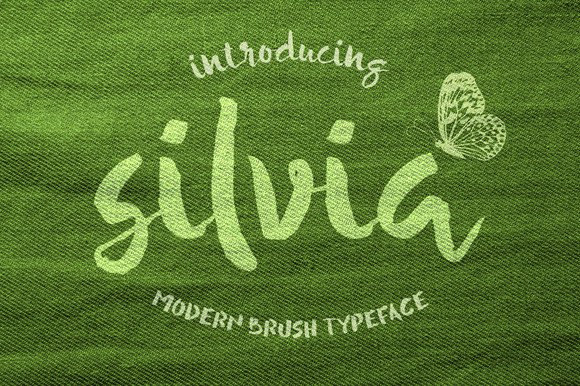 Silvia Font Review: A Painterly Typeface for Relaxed Brands